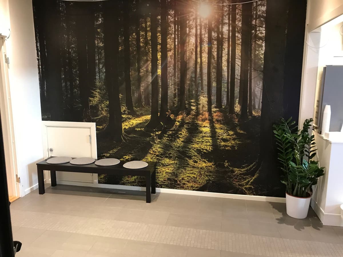 Rolig hvilerom med benk og skogmotiv på veggen hos Olympus Trening